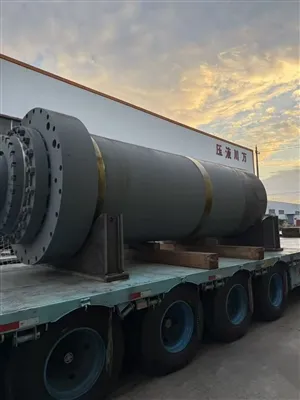 Jiangsu Wanchuan Hydraulic Machinery Equipment Co., Ltd. Sviene con successo ...